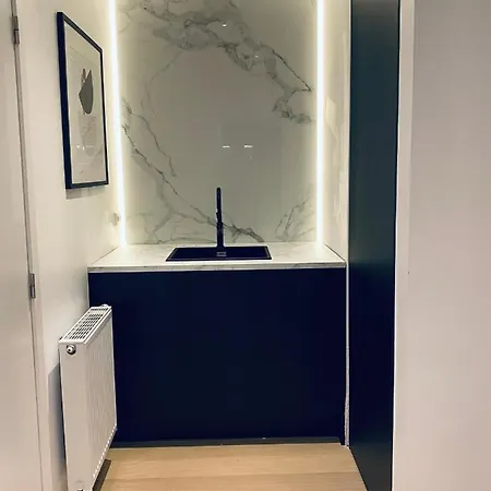 Luxury Business Flat ルーベン
